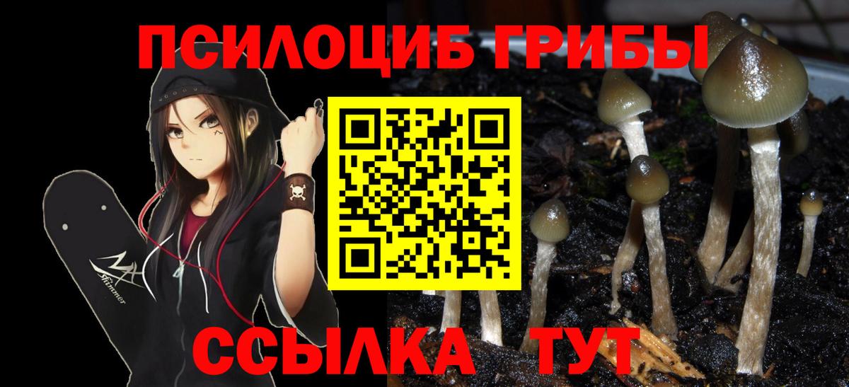Галлюциногенные грибы ЛСД Электрогорск